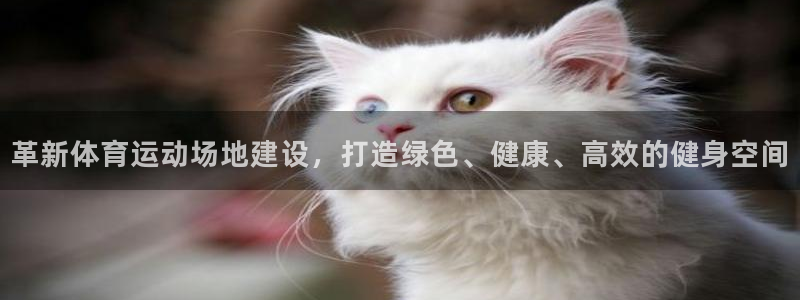 沐鸣4：革新体育运动场地建设，打造绿色、健康、高效的健身空间