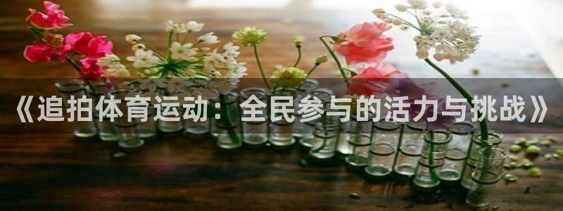 沐鸣体育4：《追拍体育运动：全民参与的活力与挑战》