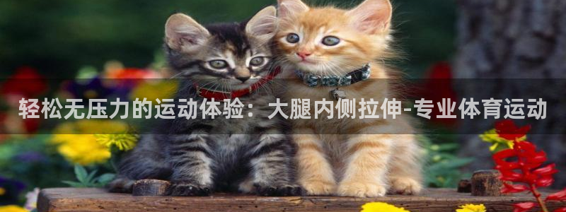 沐鸣体育4：轻松无压力的运动体验：大腿内侧拉伸-专业体育运动
