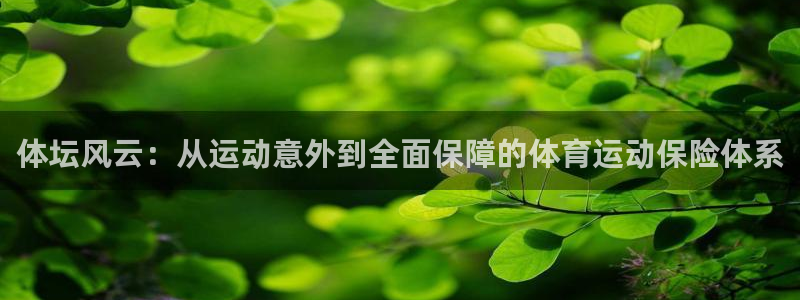 沐鸣体育4：体坛风云：从运动意外到全面保障的体育运动保险体系