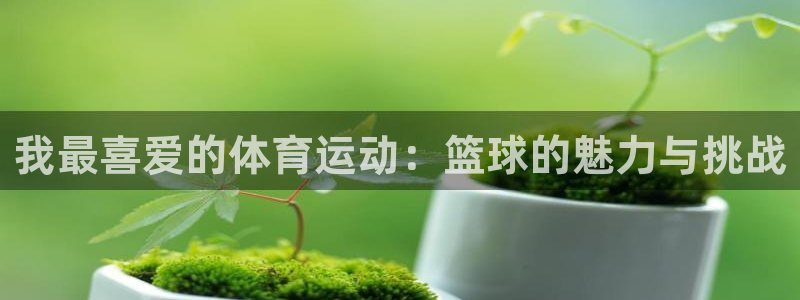 沐鸣3官网：我最喜爱的体育运动：篮球的魅力与挑战