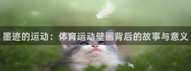 沐鸣体育网页版入口：墨迹的运动：体育运动壁画背后的故事与意义