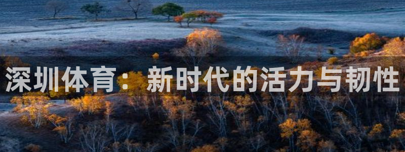 沐鸣体育：深圳体育：新时代的活力与韧性