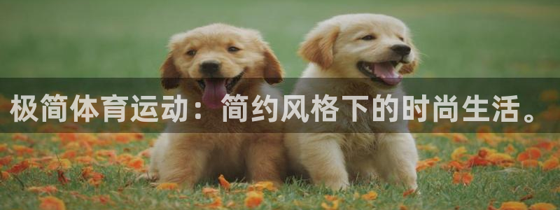 沐鸣4注册：极简体育运动：简约风格下的时尚生活。