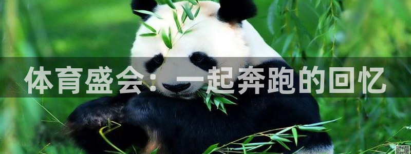 沐鸣凯捷平台注册链接：体育盛会：一起奔跑的回忆