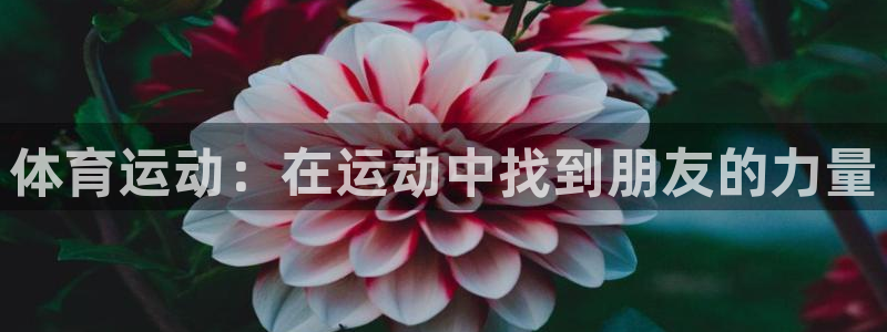 沐鸣4代理：体育运动：在运动中找到朋友的力量
