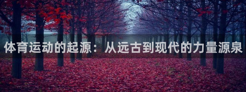 沐鸣登录注册：体育运动的起源：从远古到现代的力量源泉