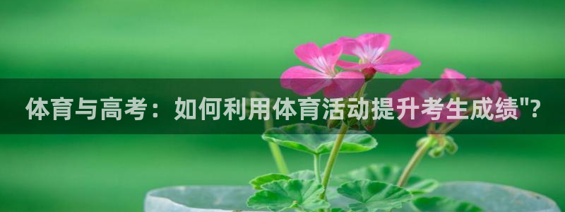 沐鸣3代理：体育与高考：如何利用体育活动提升考生成绩\