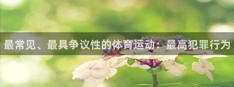 意昂3：最常见、最具争议性的体育运动：最高犯罪行为