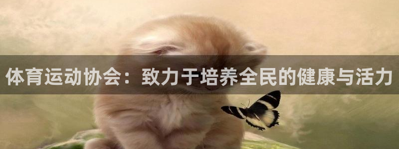 意昂5招商：体育运动协会：致力于培养全民的健康与活力