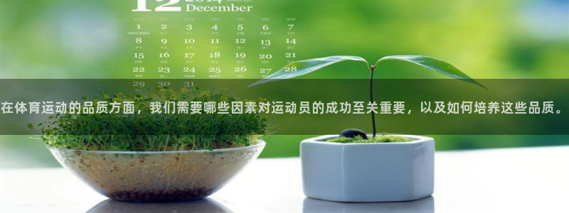 意昂3平台：在体育运动的品质方面，我们需要哪些因素对运动员的成功至关重要，以及如