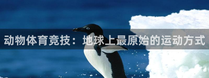 沐鸣平台总代理：动物体育竞技：地球上最原始的运动方式