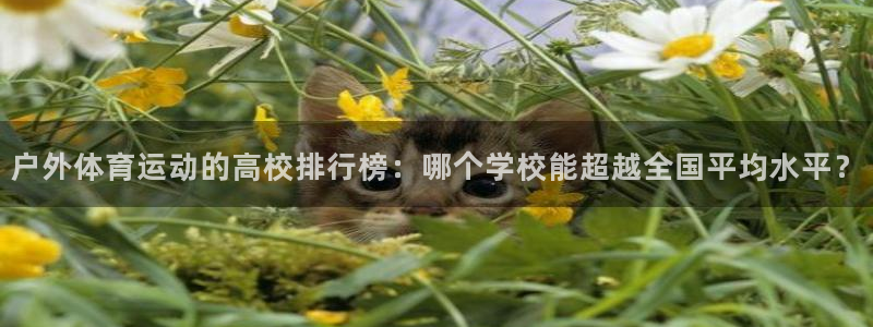 沐鸣4平台注册：户外体育运动的高校排行榜：哪个学校能超越全国平均水平？