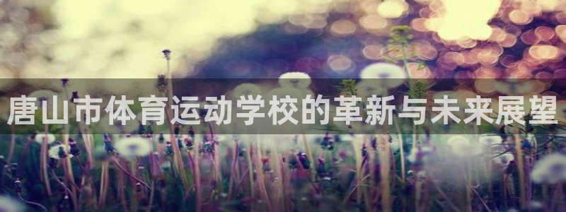 沐鸣集团：唐山市体育运动学校的革新与未来展望
