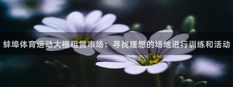 意昂3平台：蚌埠体育运动大棚租赁市场：寻找理想的场地进行训练和活动