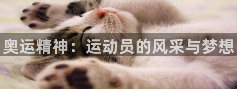 沐鸣平台总代理：奥运精神：运动员的风采与梦想