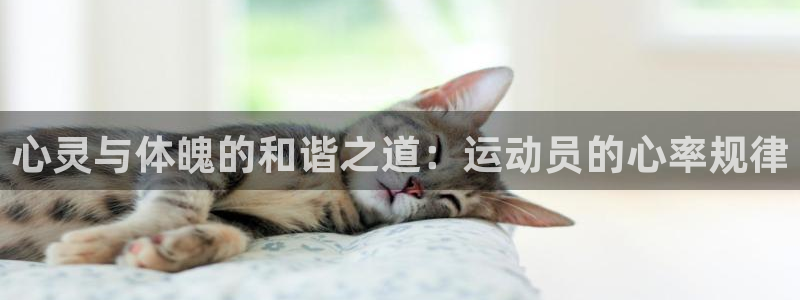 沐鸣4平台：心灵与体魄的和谐之道：运动员的心率规律