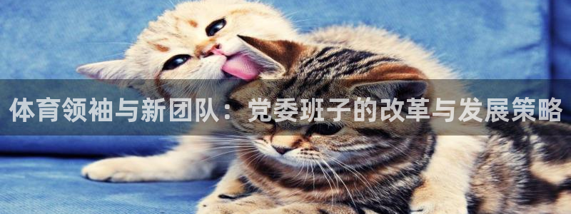 沐鸣官网：体育领袖与新团队：党委班子的改革与发展策略