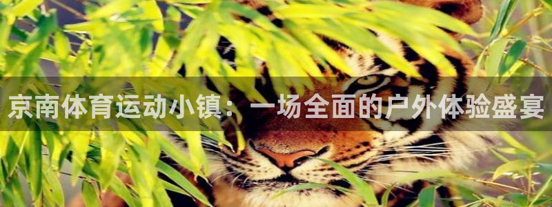沐鸣2体育登录入口：京南体育运动小镇：一场全面的户外体验盛宴