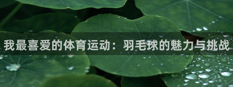 沐鸣体育凯捷平台招商：我最喜爱的体育运动：羽毛球的魅力与挑战