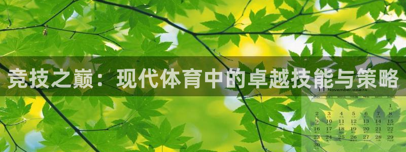 沐鸣包怎么样：竞技之巅：现代体育中的卓越技能与策略