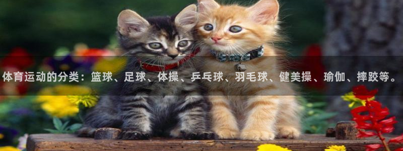 意昂体育4：体育运动的分类：篮球、足球、体操、乒乓球、羽毛球、健美操、瑜伽、摔跤等。
